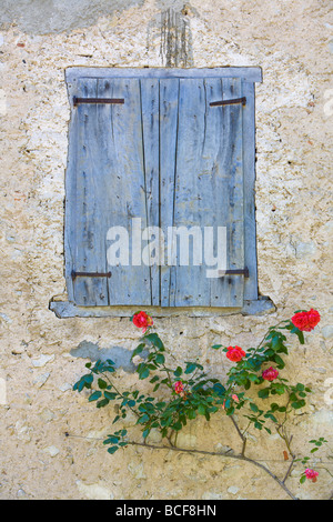 Volets & Roses, Roquefixade, Ariège, Midi-Pyrénées, France Banque D'Images