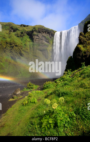 Cascade de Skogafoss, Côte Sud, Islande Banque D'Images