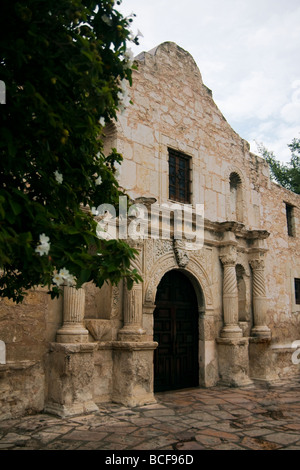 Tôt le matin à l'Alamo à San Antonio, Texas, USA Banque D'Images