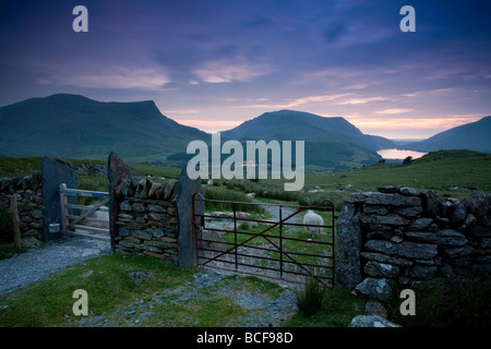 -Y-Llyn, Gader-y-Llyn, Dywarchen Mynydd Mawr et Mynydd Drws-y-coed du Rhyd-Ddu sentier sur les pentes inférieures de Snowdon Banque D'Images