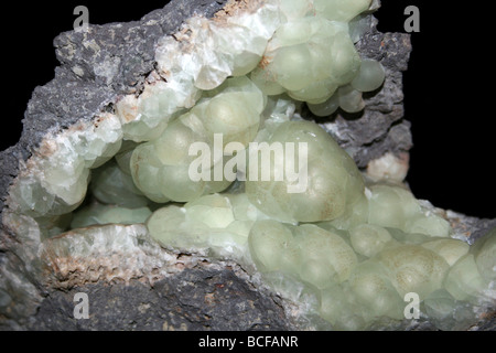 Boylestone préhnite de Quarry, Barrhead, Strathclyde, Écosse, Royaume-Uni Banque D'Images