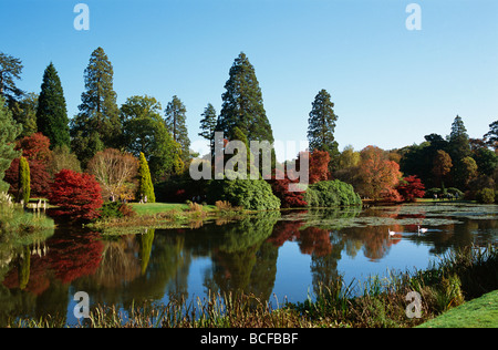 L'Angleterre, dans le Sussex, les feuilles d'automne à Sheffield Park Garden Banque D'Images