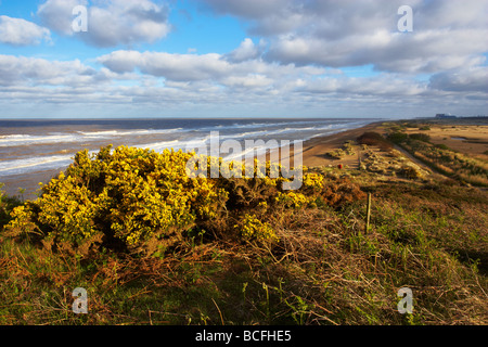 Vue depuis les falaises à Dunwich sur la côte du Suffolk Banque D'Images