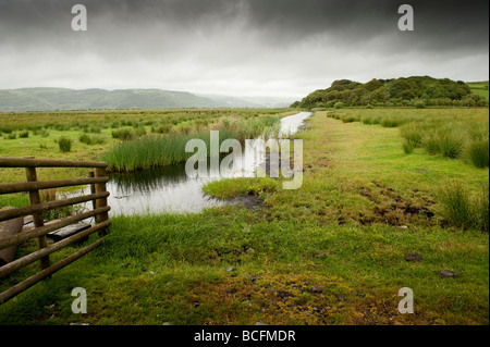 Cors Fochno terres humides aménagées à l'Ynyshir RSPB réserve naturelle dans l'estuaire du Dyfi Biosphere Ceredigion Pays de Galles UK Banque D'Images