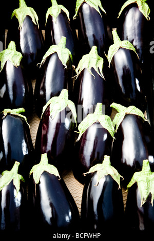 Les aubergines, dans des paniers à la disposition par les supermarchés Banque D'Images