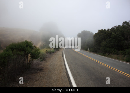 Chemin rural dans un brouillard épais fond paysage Banque D'Images