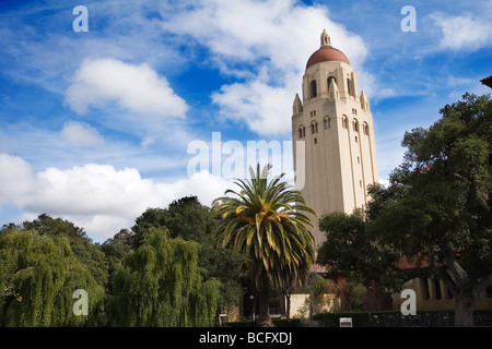 Hoover tower sur le campus de l'Université de Stanford Banque D'Images