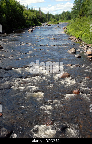 Rivière Exploits Grand Falls Windsor Newfoundland Canada Banque D'Images