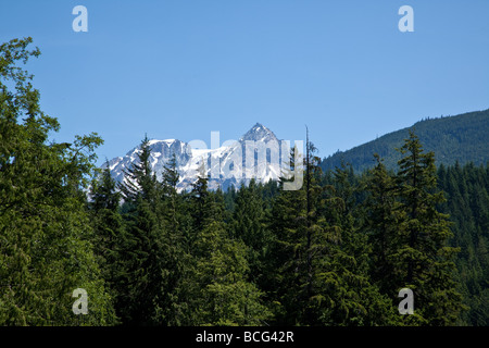 Vue depuis le parc provincial d'Alice Lake BC Canada Banque D'Images