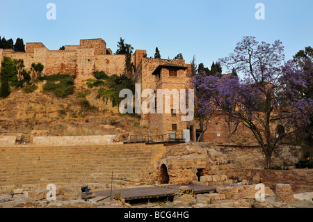 Les murs de l'Alcazaba avec ruines de théâtre romain ci-dessous n Malaga Costa del Sol Andalousie Espagne Banque D'Images