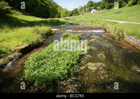 Déversoirs sur Conkesbury Lathkill Dale au-dessus de pont dans le parc national de Peak District, Derbyshire Banque D'Images