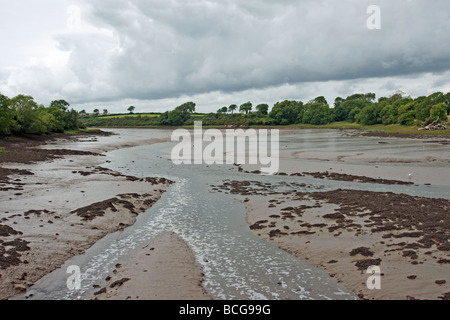 Marée Carew creek vu de moulin à marée Carew dans l'ouest du pays de Galles Pembrokeshire Banque D'Images