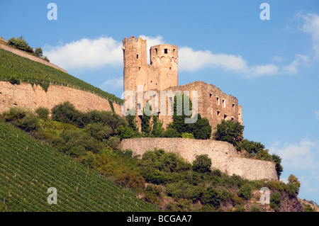 Ruines du château d'Ehrenfels et des vignobles en bordure Rhin près de Rudesheim en Allemagne Banque D'Images