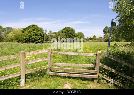 Un montant sur un sentier public à côté de la rivière Severn à Ashleworth, Gloucestershire Banque D'Images