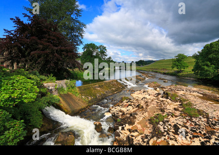 River Wharfe Weir et Linton Falls près de Skipton, Yorkshire Dales National Park, North Yorkshire, Angleterre, Royaume-Uni. Banque D'Images