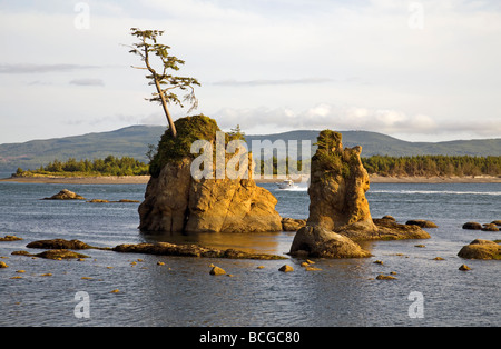 Un bateau de pêche sea chefs passé dans la baie Tillamook piles près de la ville d'Geribaldi sur la côte du Pacifique de l'Oregon Banque D'Images