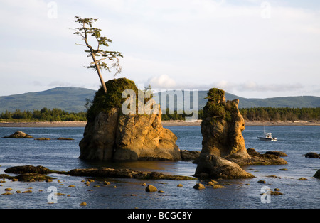 Un bateau de pêche sea chefs passé dans la baie Tillamook piles près de la ville de Garibaldi sur la côte du Pacifique de l'Oregon Banque D'Images