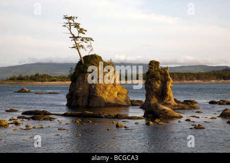 Les piles de la mer à l'entrée de la rivière et la baie Tillamook Oregon Côte du Pacifique Banque D'Images