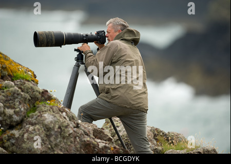 Photographe de la faune sur les falaises au-dessus de la mer sur la côte de Pembrokeshire. Banque D'Images