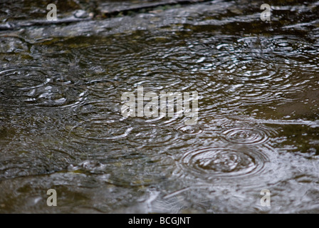 Gouttes de pluie sur le pavage Banque D'Images