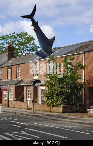 Headington shark, Oxford, Oxfordshire, England, UK Banque D'Images