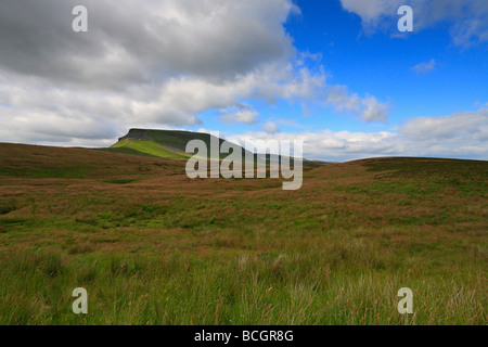 Pen-y-ghent de Dale Head sur le Pennine Way, Yorkshire Dales National Park, North Yorkshire, Angleterre, Royaume-Uni. Banque D'Images