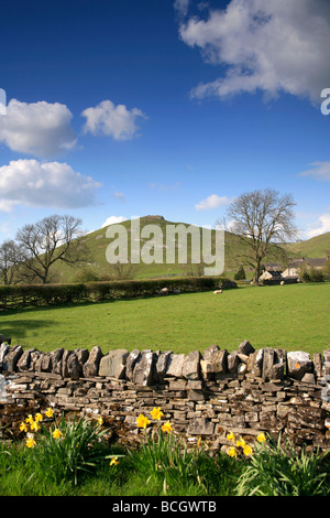 Les jonquilles avec Cloud Thorpe pic à pic blanc Dovedale arrière Parc national de Peak District comté de Derbyshire Dales England UK Banque D'Images