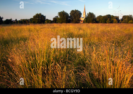 Une vue de la cathédrale de Salisbury pris de Harnham prés de l'eau Banque D'Images