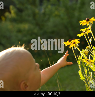 Baby Boy Reaching for flowers Banque D'Images