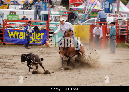 2009 Luxton Pro Rodeo Calf roping Metchosin événement British Columbia Canada Banque D'Images