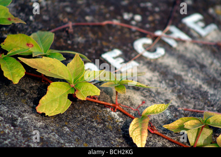 Grave dans In Gipping Banque D'Images