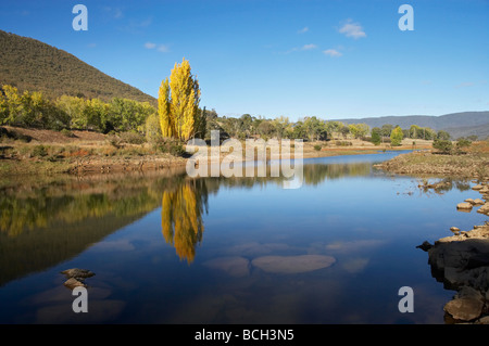 Peupliers en automne reflète dans Jounama Pondage Talbingo montagnes enneigées du New South Wales Australie Banque D'Images