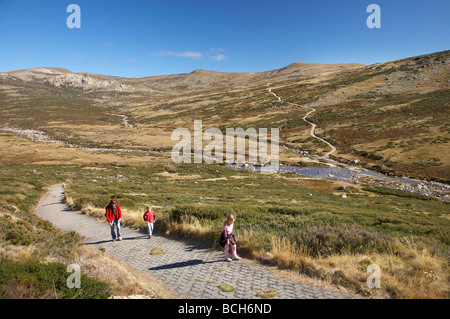 Les promeneurs sur la voie principale et vue sur Snowy River Charlotte Pass Parc National de Kosciuszko Snowy Mountains NSW Australie Banque D'Images