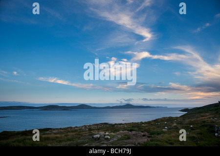 Coucher du soleil d'été Dumanus moutons de la baie de la péninsule tête près de Bantry West Cork Irlande Banque D'Images