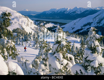 Ski de fond sur le sud-est de l'île Douglas AK Banque D'Images