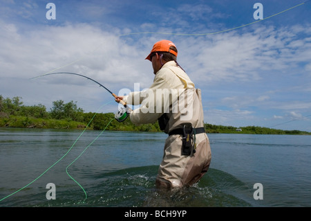 Fly-pêcheur jette une spey à deux mains pour le saumon quinnat de la tige sur la rivière Kanektok Alaska Chugach State Park Banque D'Images