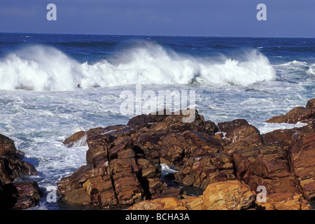 La côte rugueuse de Mossel Bay, province de Western Cape Afrique du Sud Banque D'Images