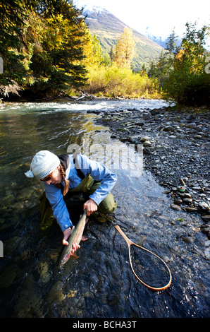 Femme de presse un arc-en-ciel Truite capturée alors que la pêche à la mouche sur les lagopèdes Creek dans la péninsule de Kenai, en Alaska, au cours de l'automne Banque D'Images