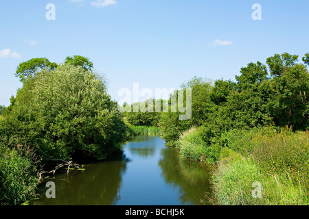 Vue sur le canal de Wey et Arun près de Ratner Lock, Sussex, Angleterre, Royaume-Uni Banque D'Images