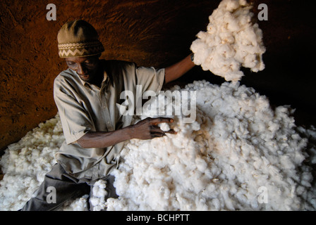 Afrique de l'Ouest, le Mali, avec des agriculteurs bio et récoltés en coton issu du commerce équitable dans sa ferme store Banque D'Images