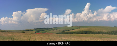 Douces collines du English Southdowns près de Brighton Banque D'Images