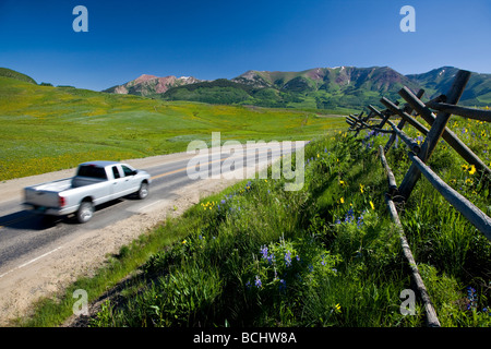 Un split clôture wildflowers s Mule Ears et lupin bleu line Road gothique près de Mount Crested Butte, Colorado USA Banque D'Images