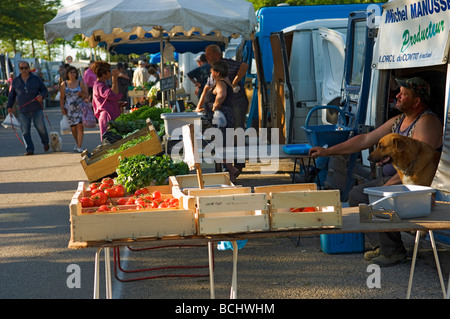 Un commerçant du marché de légumes est assise avec son chien à l'arrière d'un van. Marché de producteurs à Velleron, Provence, Sud de la France. L'Europe Banque D'Images