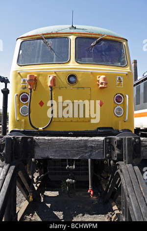 Class 56 à Barrow Hill Roundhouse locomotives Banque D'Images