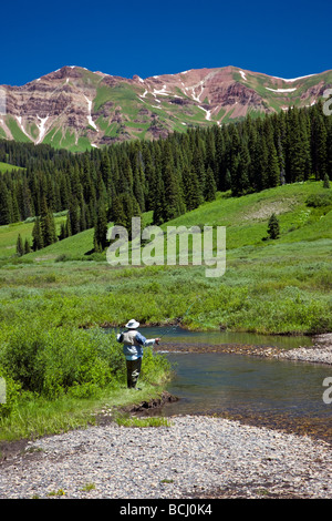 La pêche à la mouche sur l'East River et de l'élan au-delà de montagnes Colorado USA Banque D'Images