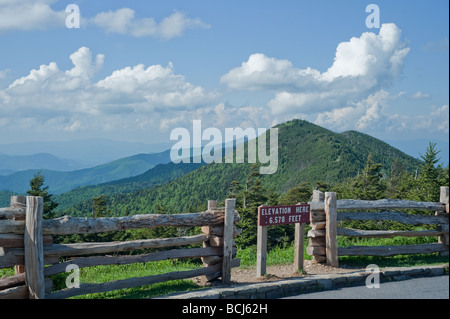 Vue depuis le mont Mitchell State Park en Caroline du Nord, USA plus haut sommet des Rocheuses de l'est avec un grand ciel bleu et nuages gonflés. Banque D'Images