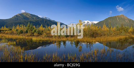 Scène d'automne de l'évolution des arbres se reflétant dans la région de Mendenhall Lake avec l'arrière-plan les montagnes côtières du sud-est de l'Alaska Banque D'Images