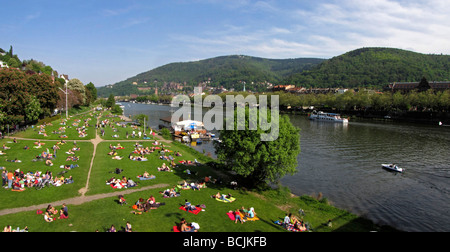 Soleil Soleil meadow Heidelberg skyline Banque D'Images