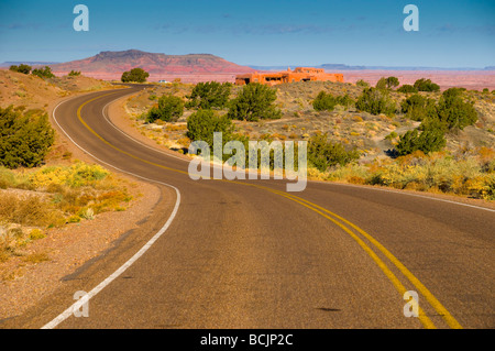 Aux Etats-Unis, l'Arizona, le Parc National de la forêt pétrifiée Banque D'Images