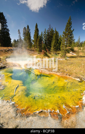 West Thumb Geyser Basin, Parc National de Yellowstone, Wyoming, USA Banque D'Images